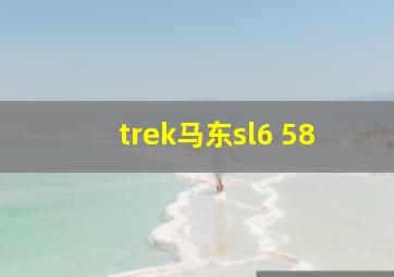 trek马东sl6 58